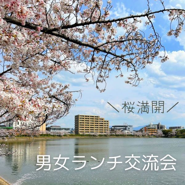 桜と湖の写真